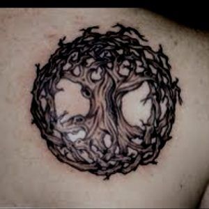 Celtic Tree Of Life Tattoo On Right Back Shoulder