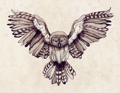 Classic Black And Grey Flying Owl Tattoo Design For Back