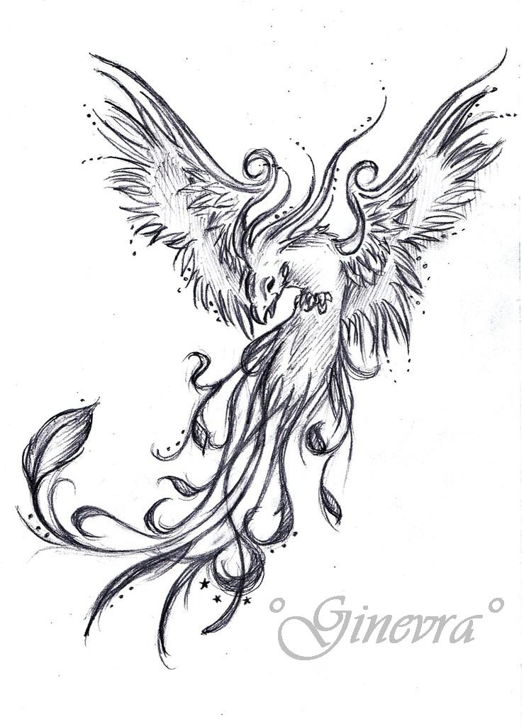 Classic Black Flying Phoenix Tattoo Design By GinevrA26592