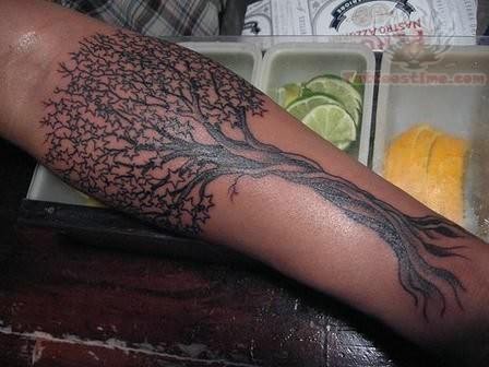 Classic Black Ink Tree Of Life Tattoo On Forearm