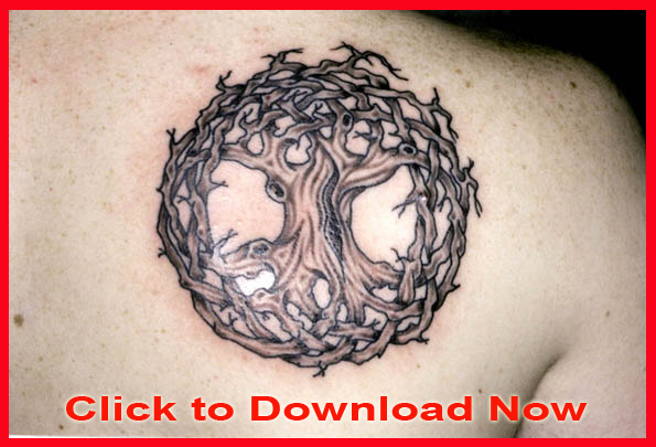 Classic Celtic Tree Of Life Tattoo On Right Back Shoulder