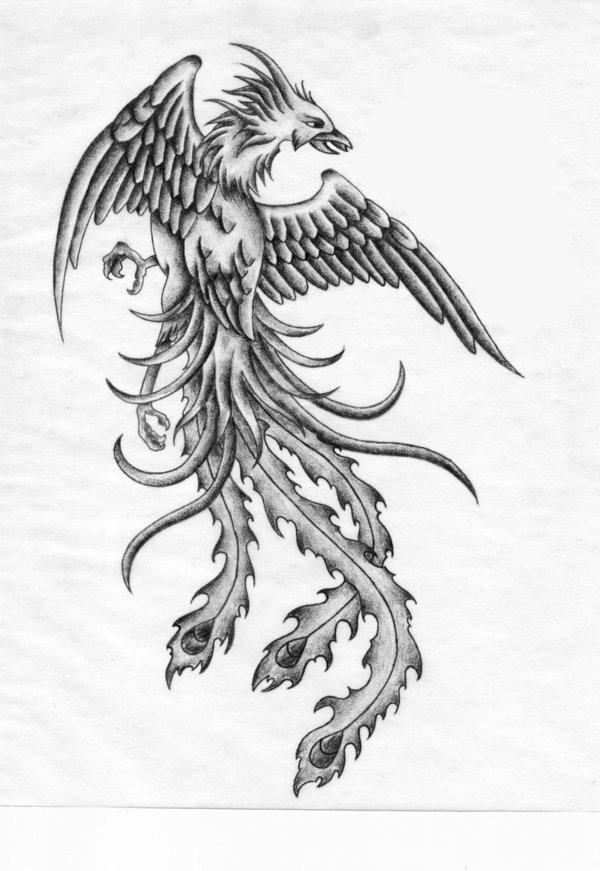 Classic Grey Ink Phoenix Tattoo Design