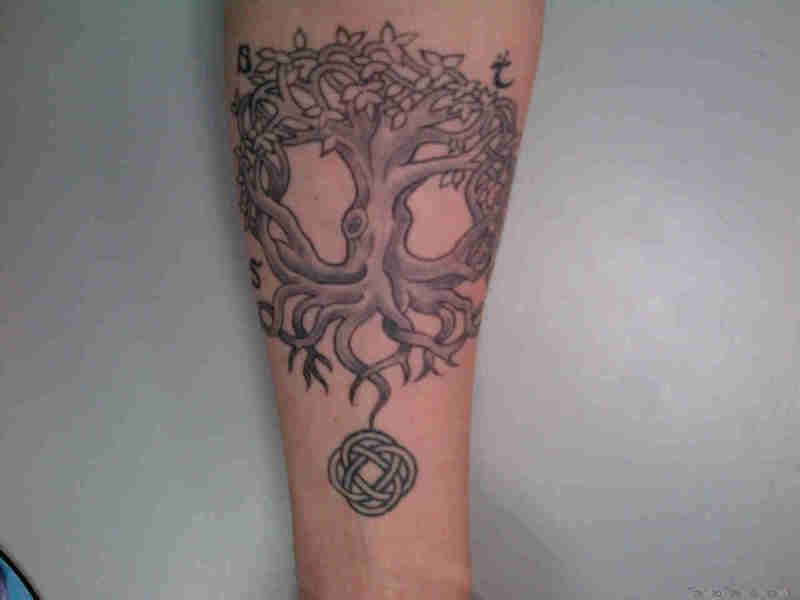 Classic Grey Ink Tree Of Life Tattoo On Forearm