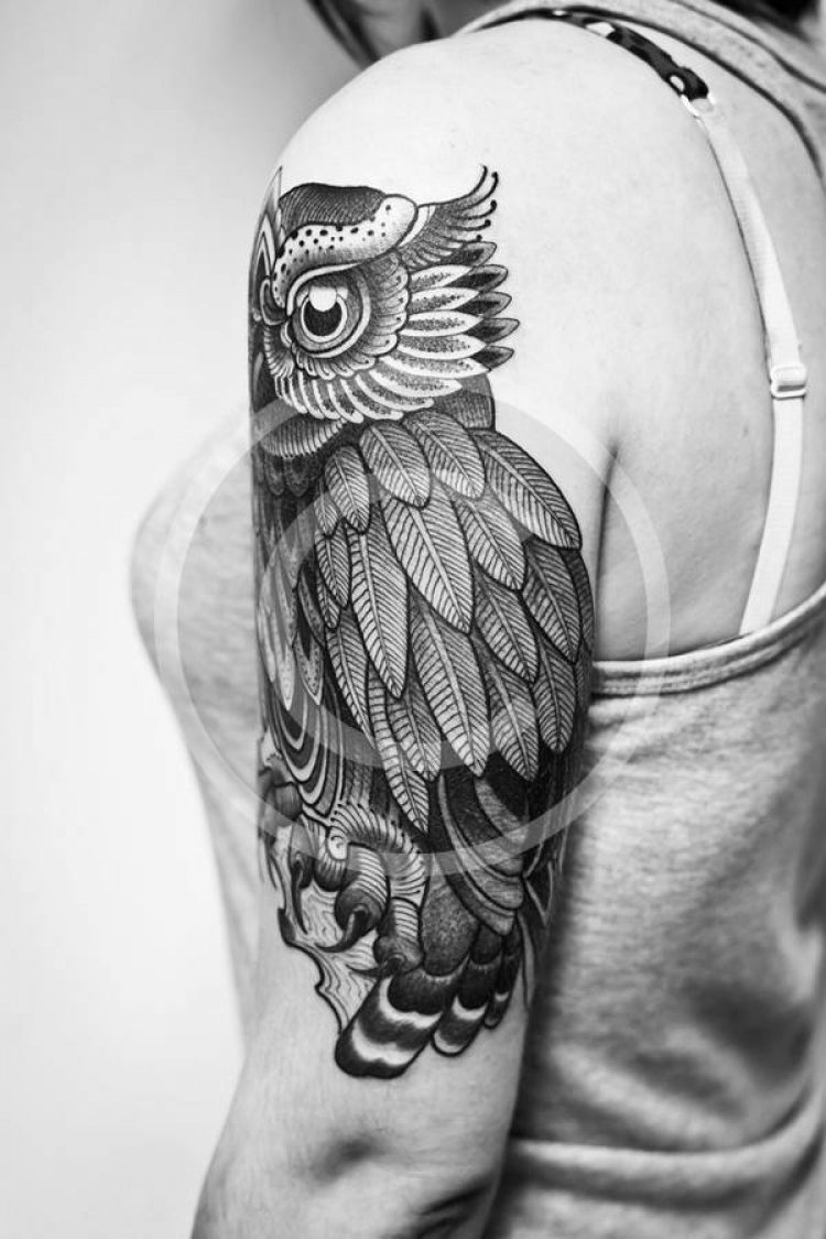 Classic Owl Bird Tattoo On Girl Left Half Sleeve