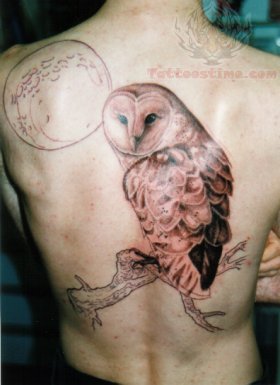 Classic Owl Tattoo On Man Full Back