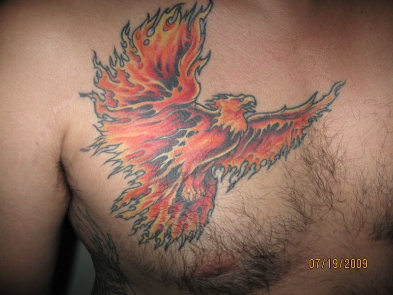 Classic Rising Phoenix From The Ashes Tattoo On Man Right Chest By Dave.