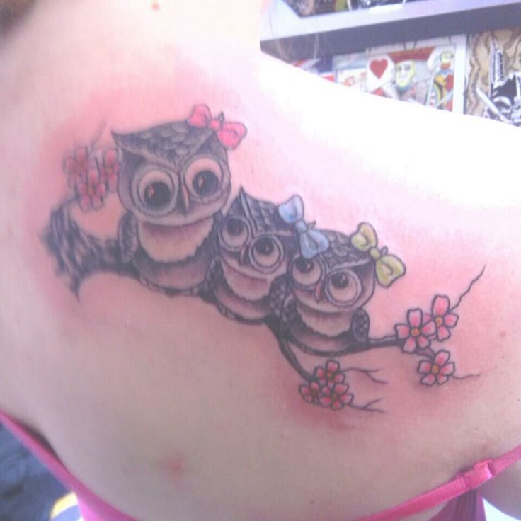 Classic Three Baby Owl On Branch Tattoo On Girl Right Back Shoulder