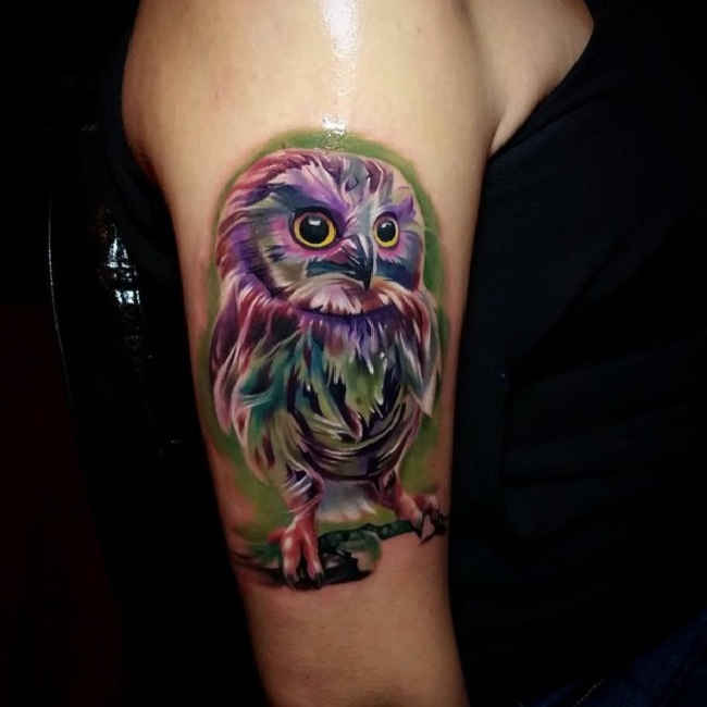 Colorful 3D Owl Tattoo On Right Half Sleeve