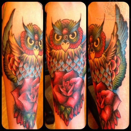 Colorful Flying Owl With Rose Tattoo Design For Sleeve