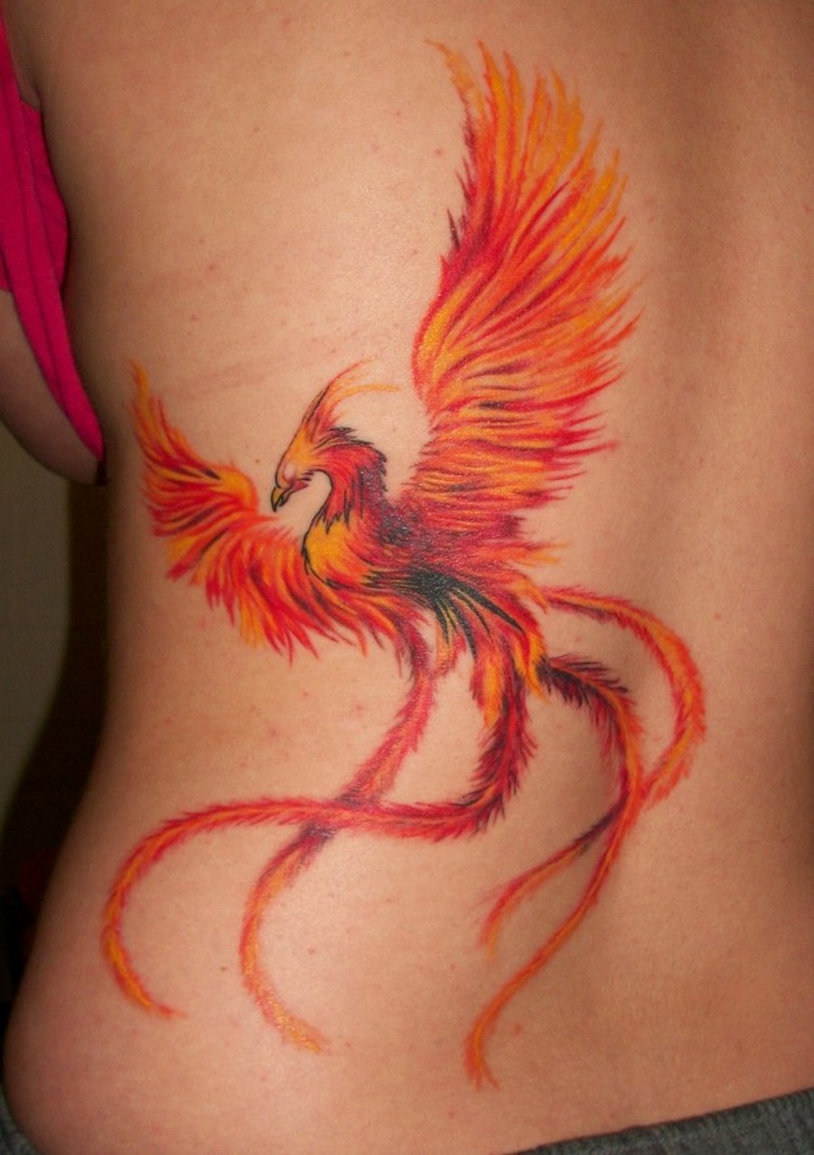 Colorful Flying Phoenix Bird Tattoo On Back