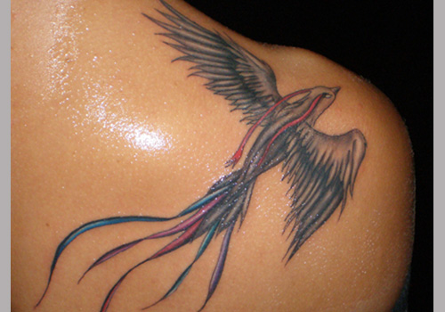 Colorful Flying Phoenix Bird Tattoo On Right Back Shoulder