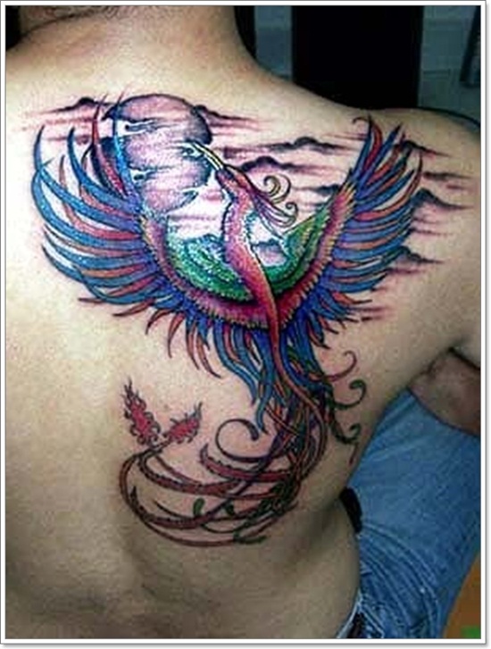 Colorful Flying Phoenix Tattoo On Man Right Back Shoulder