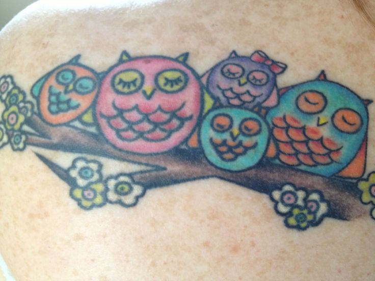 Colorful Owl Family On Branch Tattoo Design