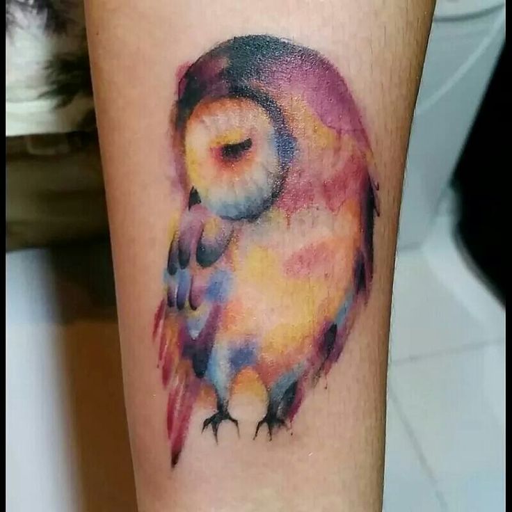 Colorful Owl Tattoo Design For Forearm
