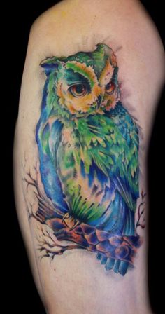 Colorful Owl Tattoo On Half Sleeve