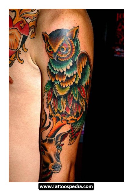 Colorful Traditional Owl Tattoo On Man Left Half Sleeve
