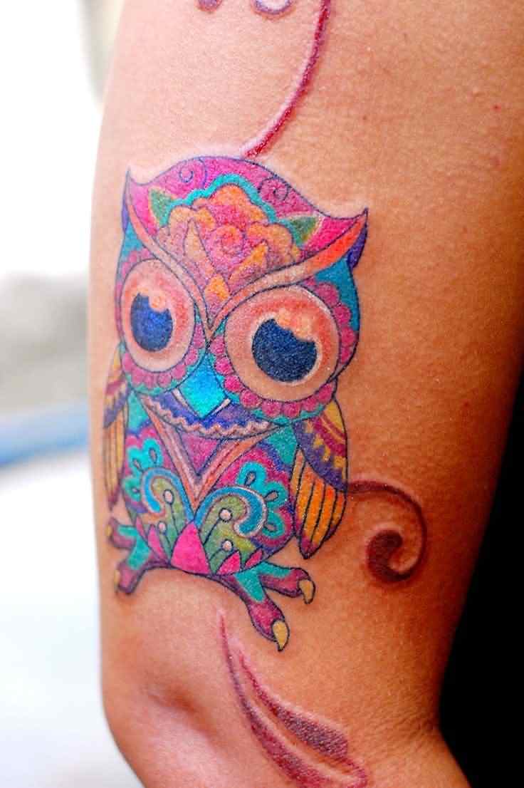 Colorful Traditional Owl Tattoo On Right Upper Arm