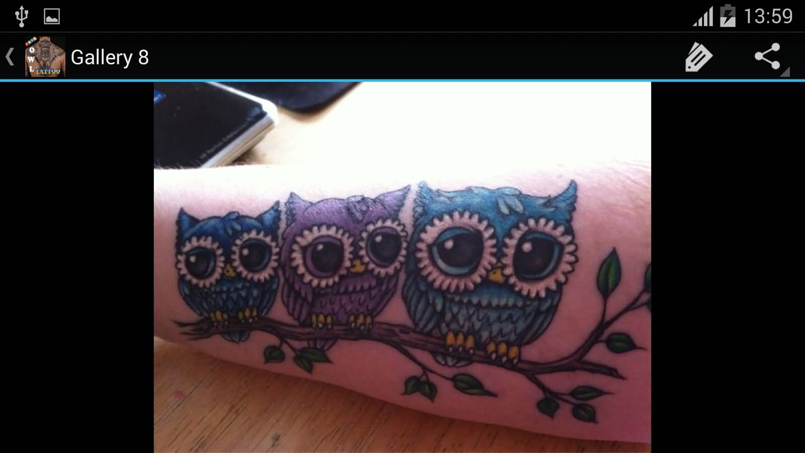 Cool Colorful Owl Family Tattoo On Forearm