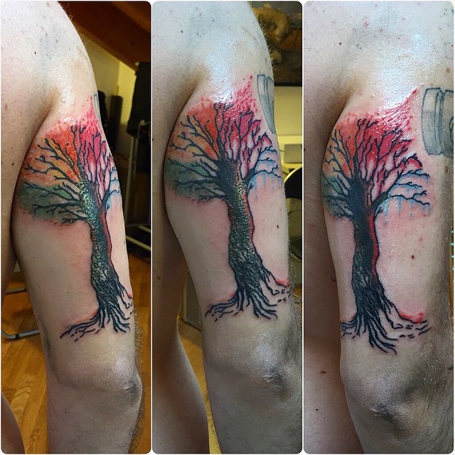 Cool Colorful Tree Of Life Tattoo On Man Right Half Sleeve