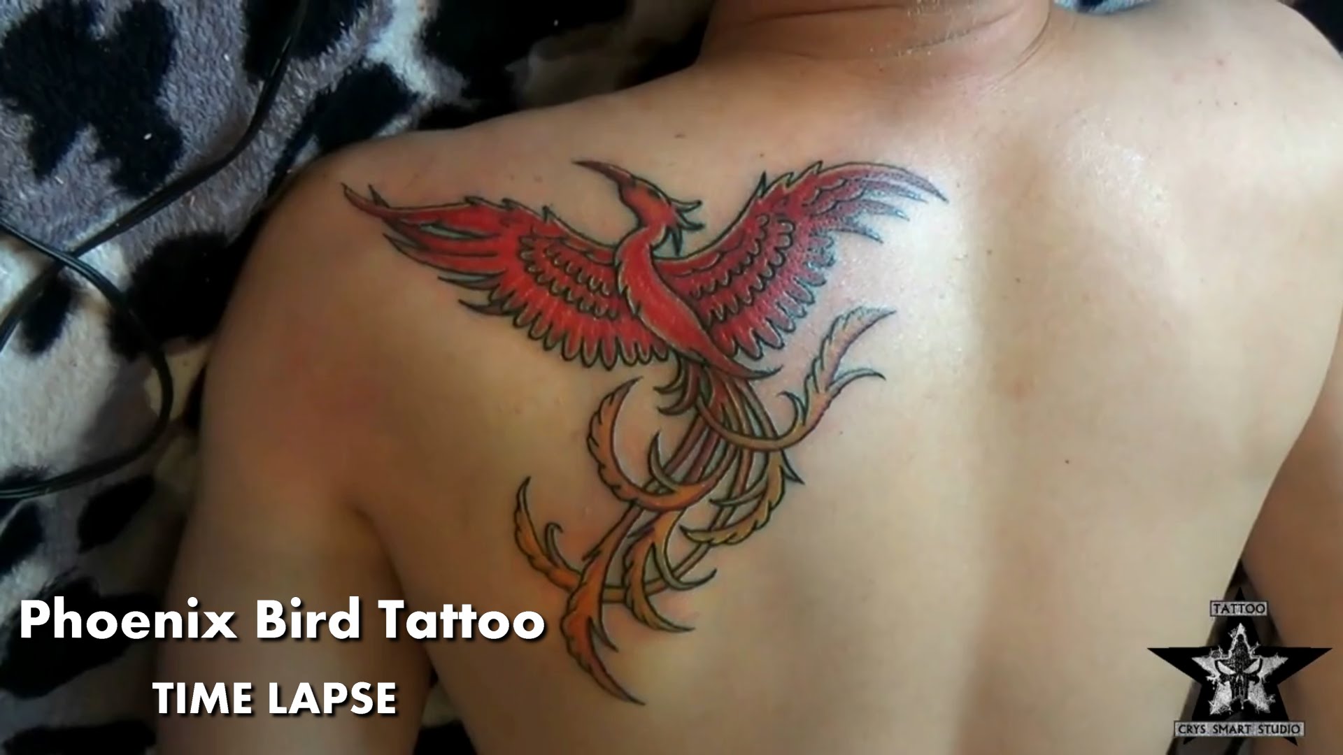 Cool Flying Phoenix Bird Tattoo On Left Back Shoulder
