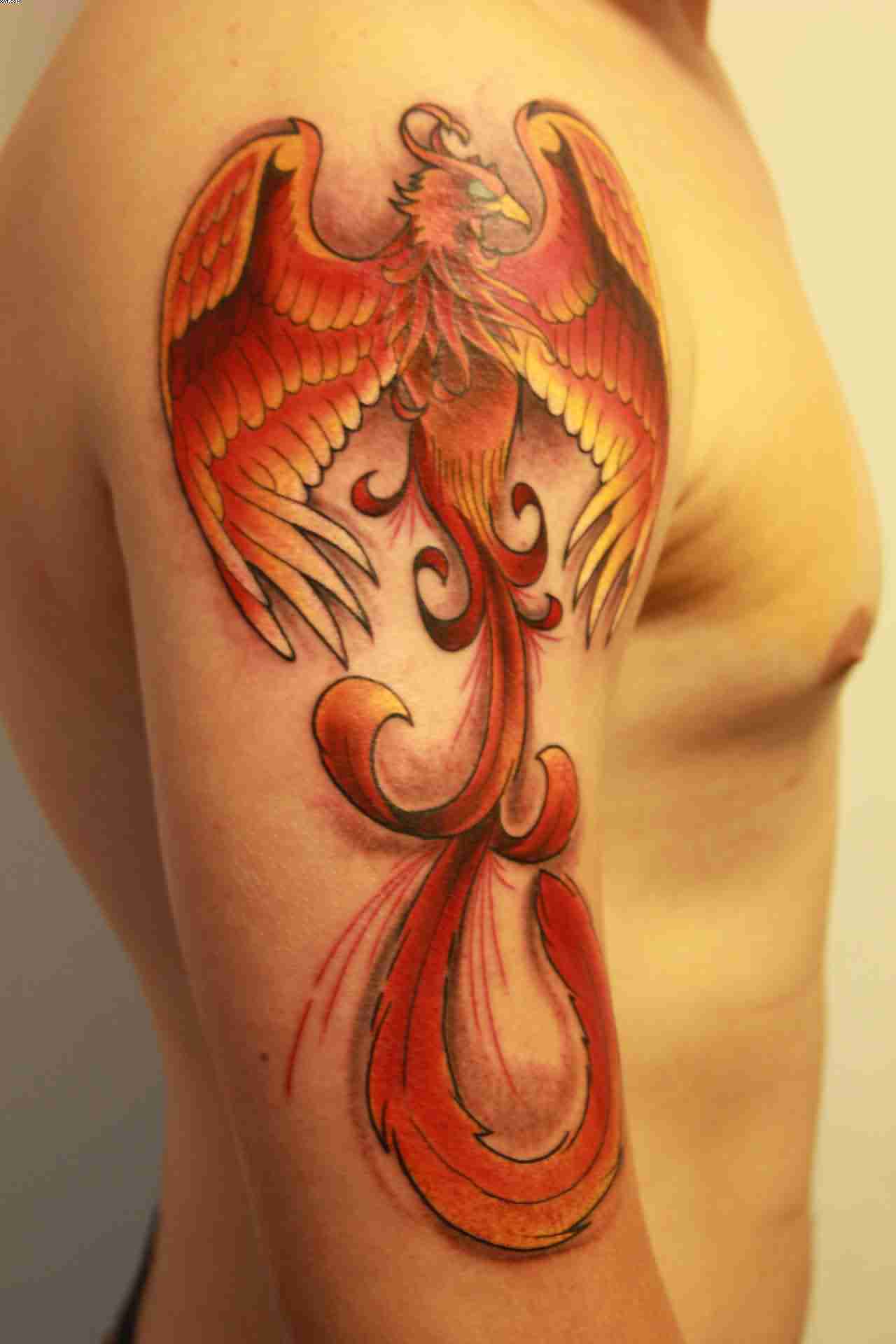 Cool Phoenix Bird Tattoo On Right Half Sleeve