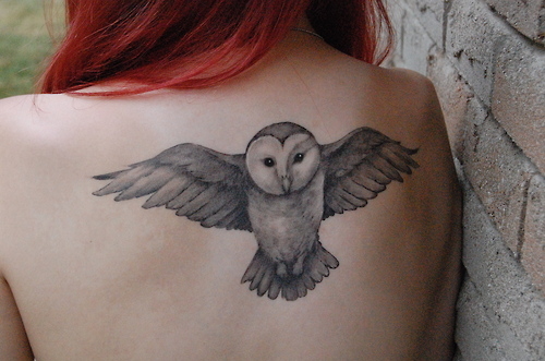 Cute Black And Grey Flying Owl Tattoo On Girl Upper Back