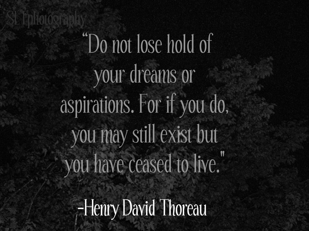 Do not lose hold of your dreams or aspirations. For if you do, you may still exist but you have ceased to live. Henry David Thoreau
