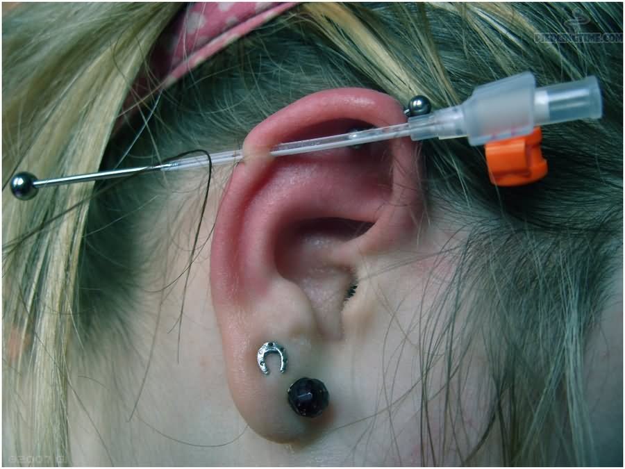 Dual Lobes And Industrial Piercing
