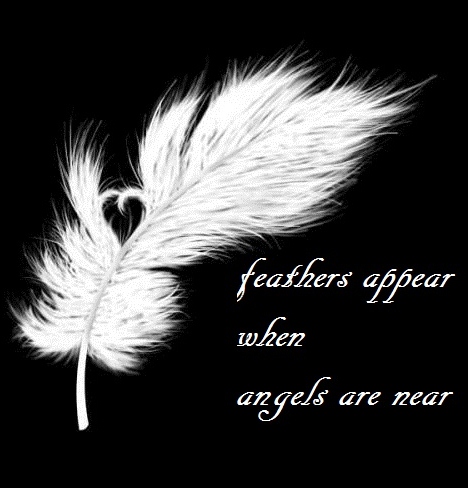 Feathers appears when angels are near