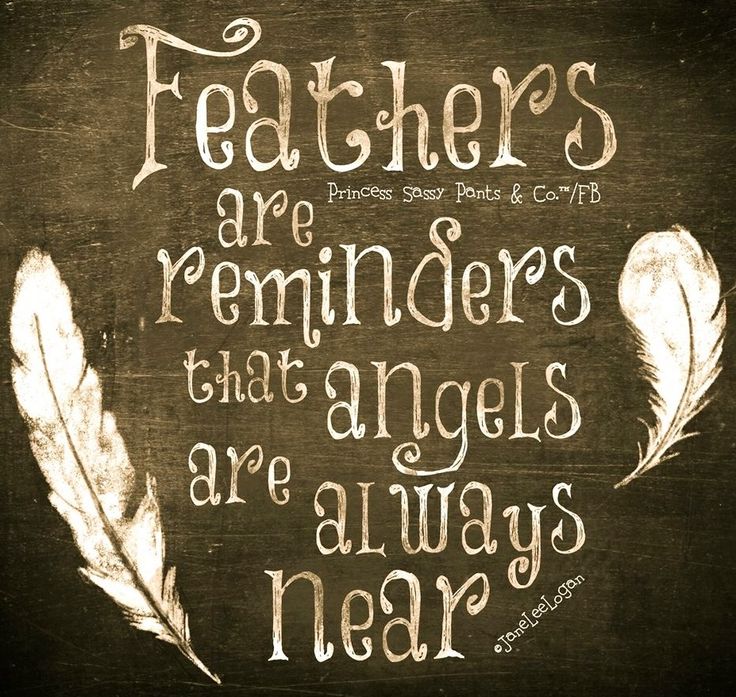 Feathers are reminders that angels are always near