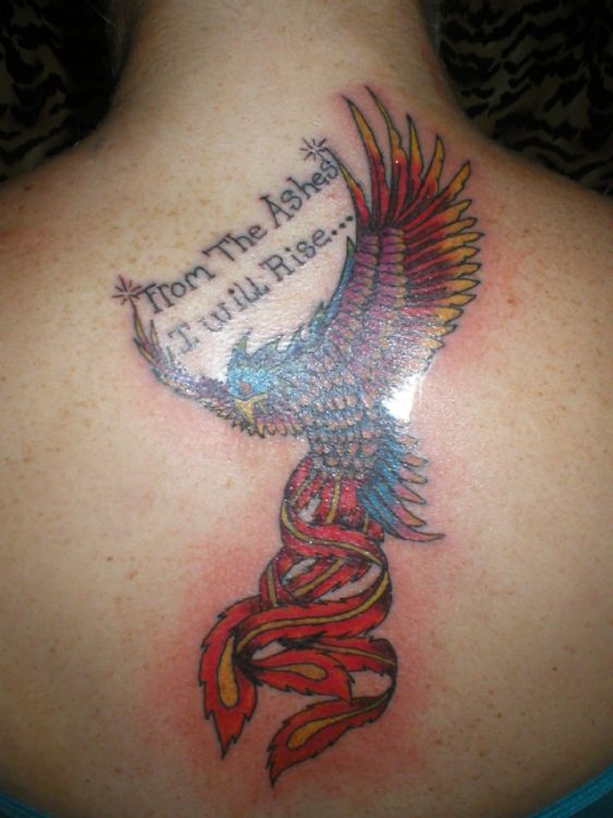 From The Ashes I Will Rise - Colorful Rising Phoenix From The A...