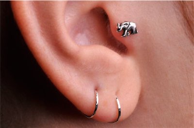 Girl With Dual Lobe And Tragus Piercing With Elephant Stud