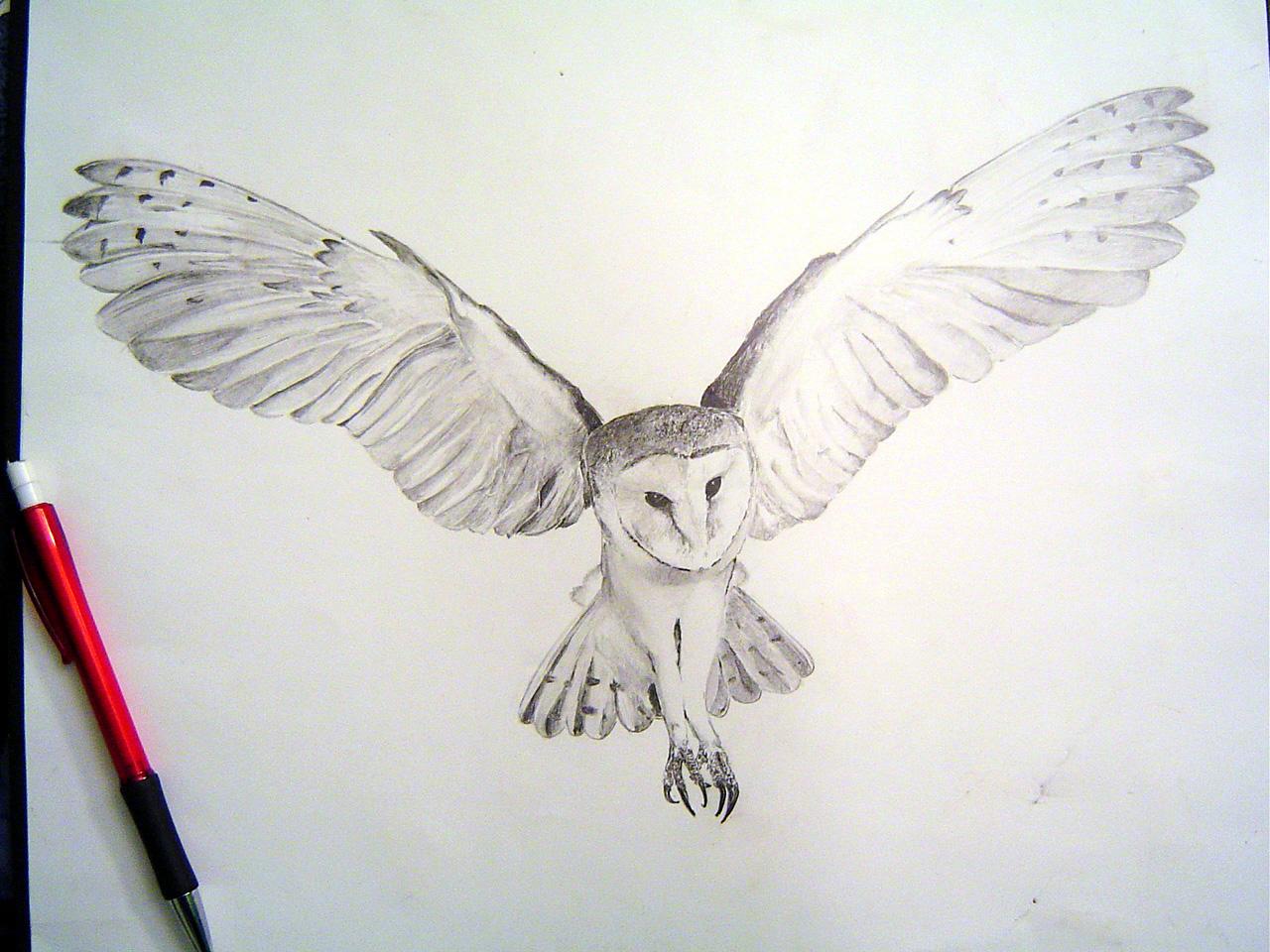 Grey Ink Flying Owl Tattoo Design