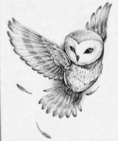 Grey Ink Flying Owlet Tattoo Design