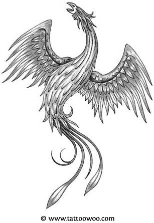 Grey Ink Flying Phoenix Tattoo Design
