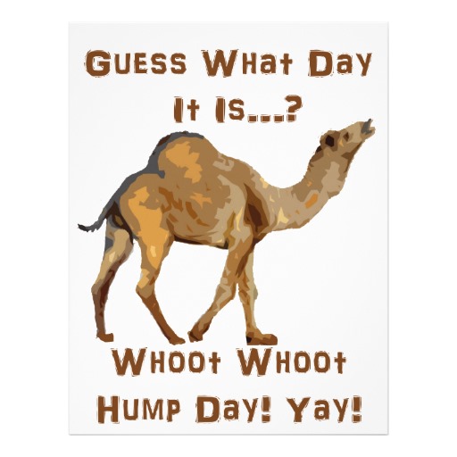 Guess What Day It Is Hump Day