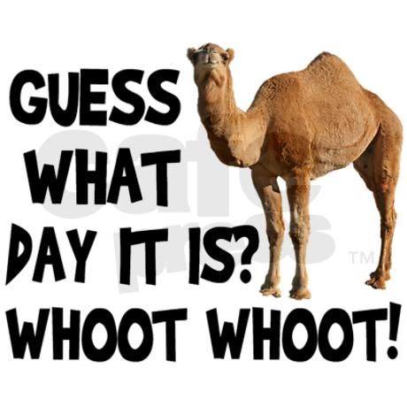 Guess What Day It Is1 Whoo Whoot It's Hump Day