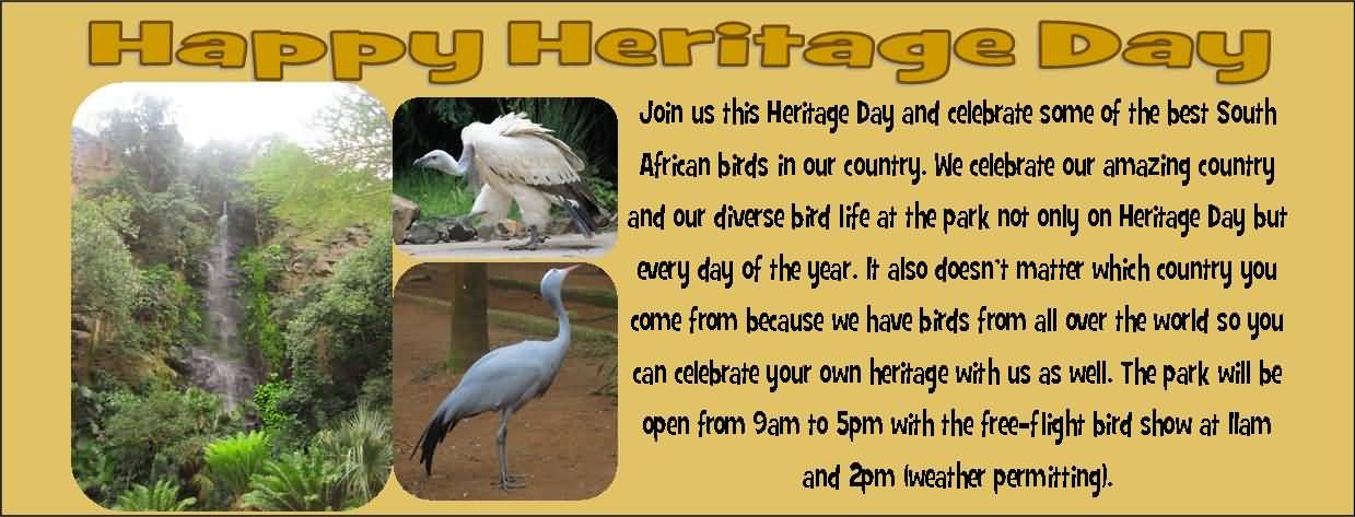 Happy Heritage Day Join Us This Heritage Day And Celebrate Some Of The Best South African Birds In Our Country