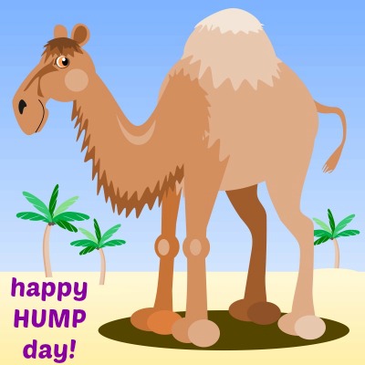 Happy Hump Day Camel Picture