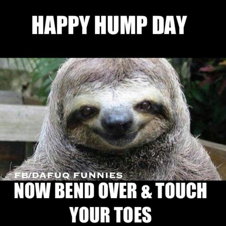 Happy Hump Day Meme Picture