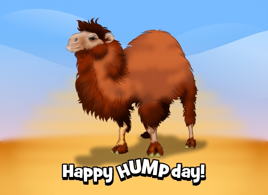 Happy Hump Day Wishes