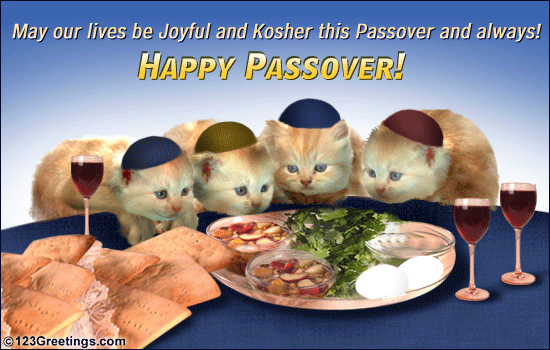 Happy Passover May Our Lives Be Joyful And Kosher This Passover And Always Happy Passover Cats Eating Food Picture