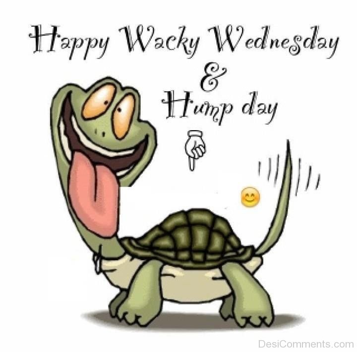 Happy Wacky Wednesday & Hump Day