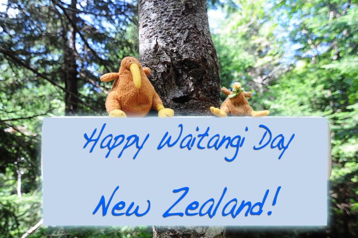 Happy Waitangi Day New Zealand Picture