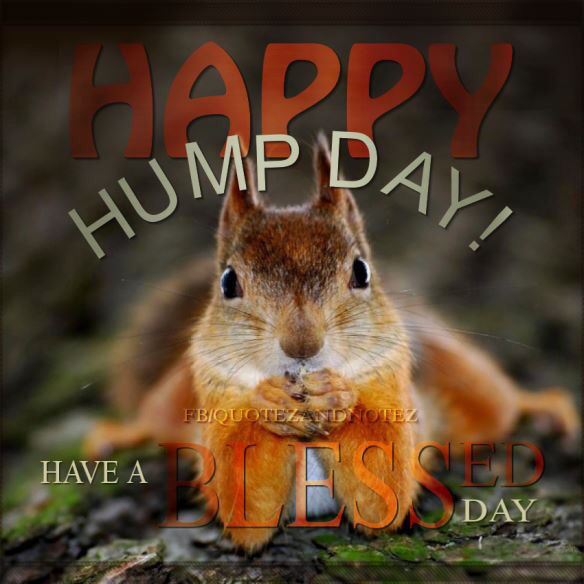 Have A Blessed Happy Hump Day