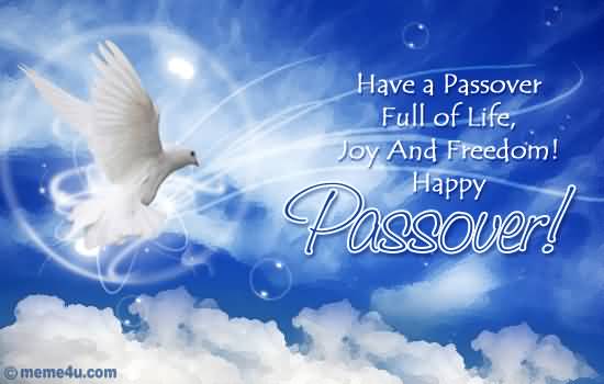 Have A Passover Full Of Life Joy And Freedom Happy Passover