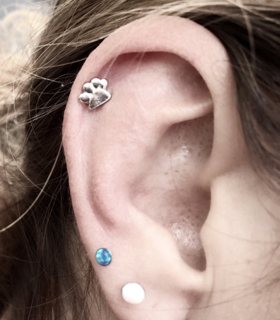 Helix Piercing With Paw Stud