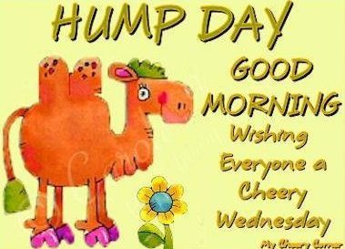 Hump Day Good Morning Wishing Everyone A Cheery Wednesday
