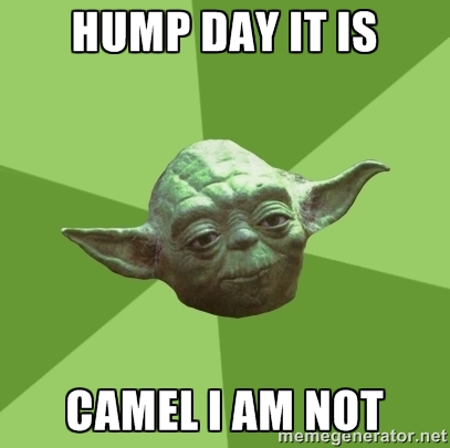 Hump Day It Is Camel I Am Not