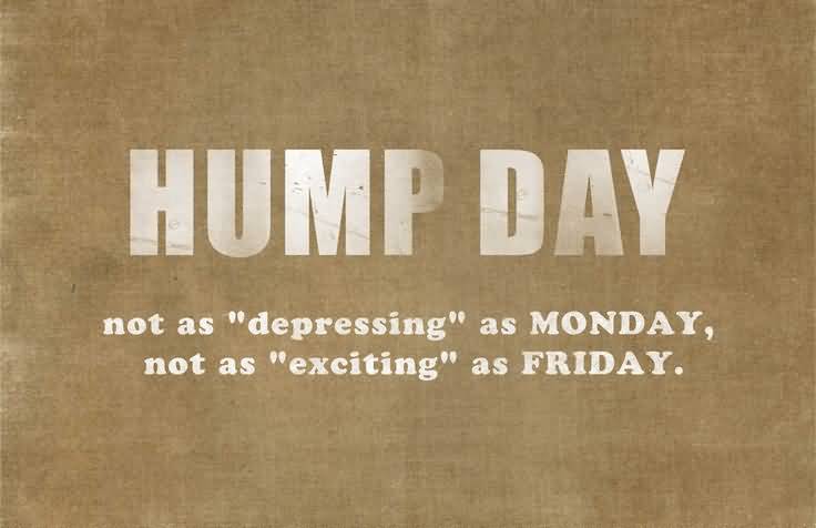 Hump Day Not As Depressing As Monday Not As Exciting As Friday